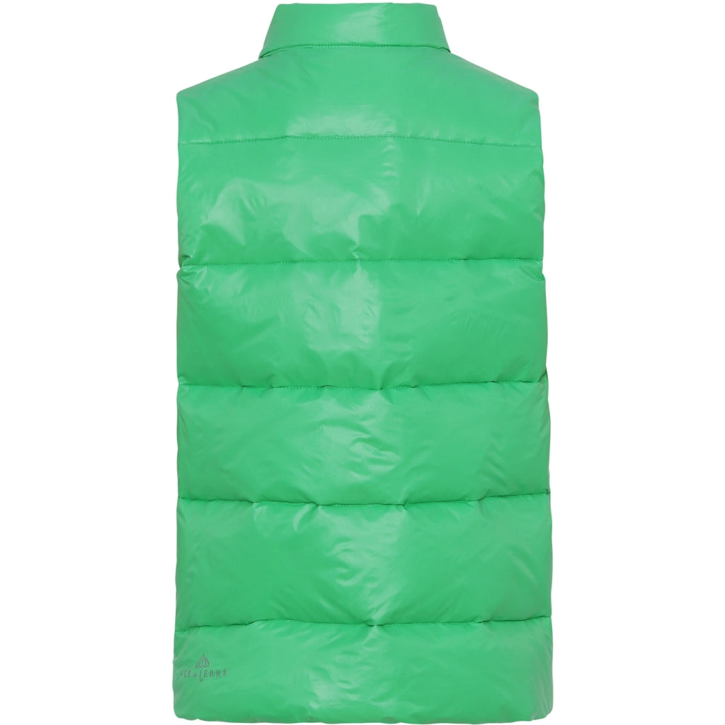 VER de TERRE Dunvest Vest 810 Parrot