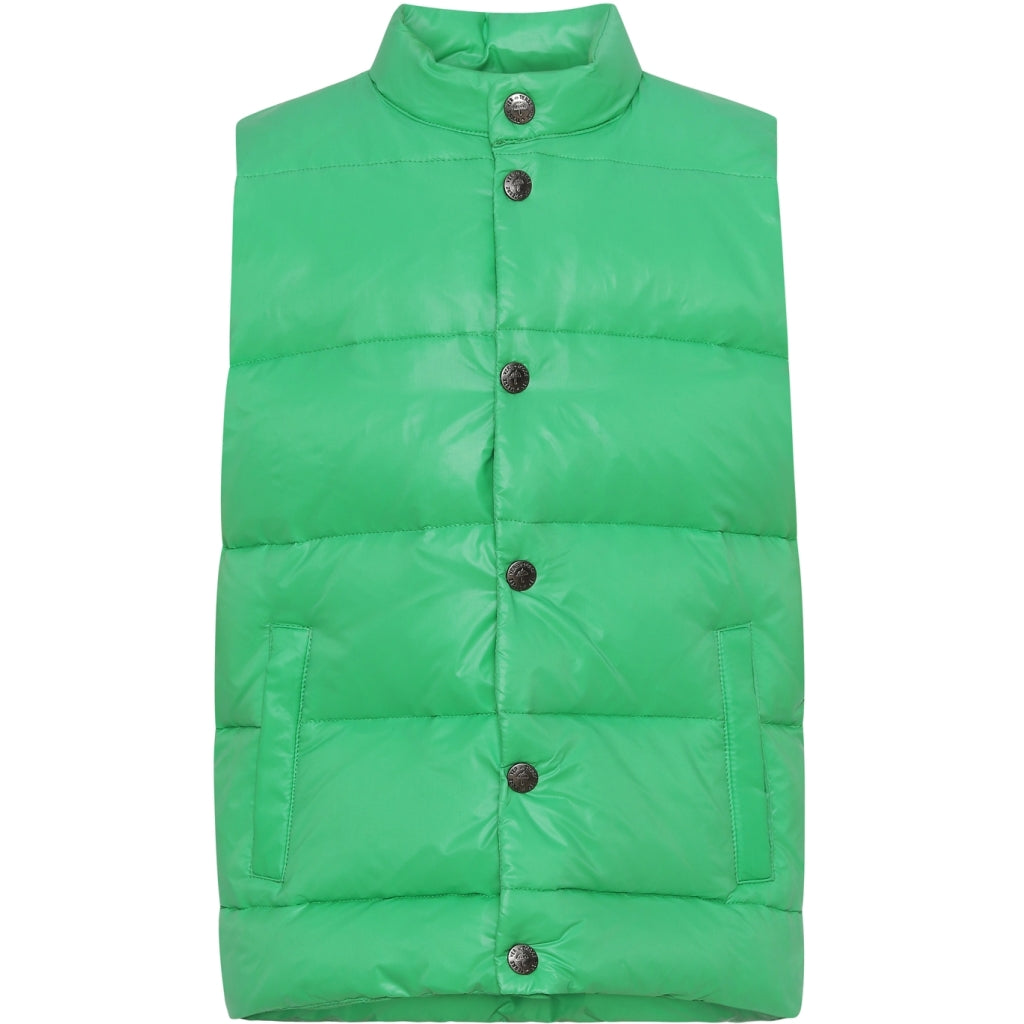 VER de TERRE Dunvest Vest 810 Parrot